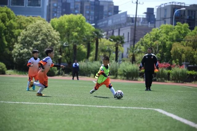 CBA常规赛：辽宁主场收官战不敌浙江